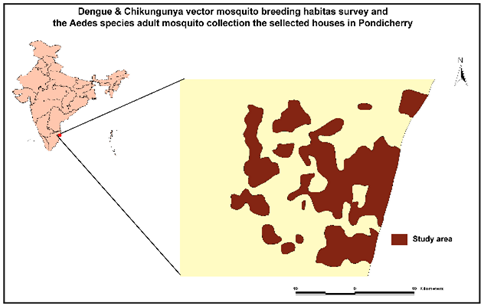 Fig: Dengue & Chikungunya vector mosquito breeding habitats survey and the Aedes species adult Mosquito collection in the selected sites/ houses in Pondicherry