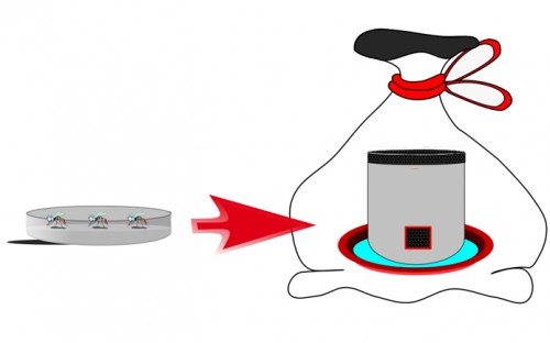 Feeding mosquitoes with BrdU containing gel