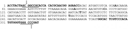 Mnp+ (A) regions (5â€™ to 3â€™) selected from SLDENV-2 (gb: GQ252677). Mnp+ and Mnp- forward and reverse primers are shown in bold black letters. The underlined sequences are REs, <em>Not</em>I and <em>Apa</em>I respectively from the 5â€™ end of the Mnp+ sequence and <em>Kpn</em>I and <em>BamH</em>I respectively from the 5â€™ end of the Mnp- sequence. These sequences had a 100% identity with another SLDENV-2 strain (gb: GQ252676). But there were a few mismatches in the sequence when these two sequences were aligned with that of the Mnp+ region of the SLDENV-2 strain found in 1996 (gb: FJ882602). The sites of sequence variations, base 54th position (A), 94th position (A), 109th position (C), 157th position (T) and 211th position (T) are shown in bold black letters between the primer sequences of Mnp+ sequence. Each arrow indicates the cleavage site within the REs