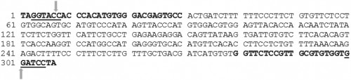Mnp- (B) regions (5â€™ to 3â€™) selected from SLDENV-2 (gb: GQ252677). Mnp+ and Mnp- forward and reverse primers are shown in bold black letters. The underlined sequences are REs, <em>Not</em>I and em>Apa</em>I respectively from the 5â€™ end of the Mnp+ sequence and <em>Kpn</em>I and <em>BamH</em>I respectively from the 5â€™ end of the Mnp- sequence. These sequences had a 100% identity with another SLDENV-2 strain (gb: GQ252676). But there were a few mismatches in the sequence when these two sequences were aligned with that of the Mnp+ region of the SLDENV-2 strain found in 1996 (gb: FJ882602). The sites of sequence variations, base 54th position (A), 94th position (A), 109th position (C), 157th position (T) and 211th position (T) are shown in bold black letters between the primer sequences of Mnp+ sequence. Each arrow indicates the cleavage site within the REs