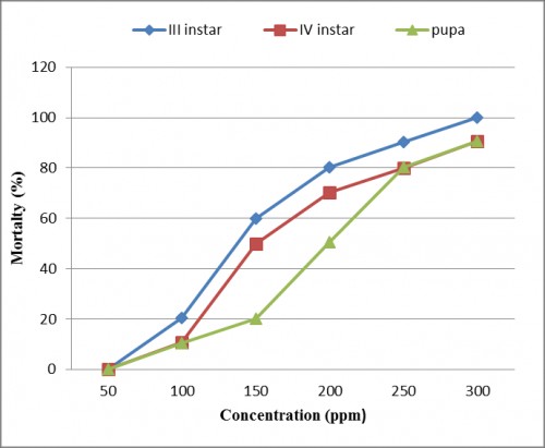 Mortality rate in III instar, IV instar and pupa of <em>Culex quinquefasciatus</em> against <em>Murraya exotica</em> plant extract