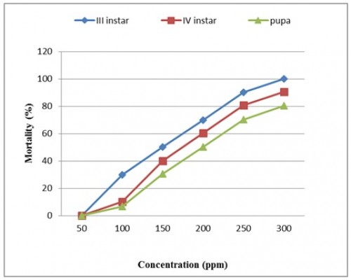 Mortality rate of III instar, IV instar and pupa of <em>Culex quinquefasciatus </em>against <em>Lawsonia inermis</em> plant extract.