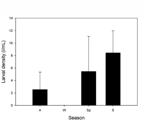 Seasonal variation of larval density of <em>Culex pipiens</em> in a small artificial pool in central Chile. Autumn (A), Winter (W), Spring (Sp), Summer (S).