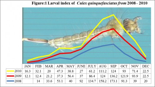 Larval index of <em>Culex quinquefasciatus from</em> 2008 - 2010<strong> </strong>