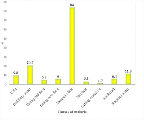 Respondents Knowledge about Causes of Malaria in the Selected Study Communities of Gboko and Otukpo Local Government Areas of Benue State, North Central Nigeria in 2015.