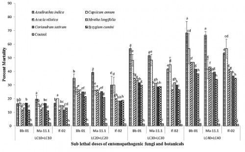 Percent larval mortality of <em>C. pipiens</em> (laboratory trail) after application of binary mixtures of fungi and botanicals. Means with different letters in each day are statistically different among treatments and control at <em>P</em><0.05.