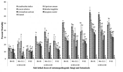 Percent larval mortality of <em>C. pipiens</em> (Field trail) after application of binary mixtures of fungi and botanicals.<strong> </strong>Means with different letters in each day are statistically different among treatments and control at <em>P</em><0.05.