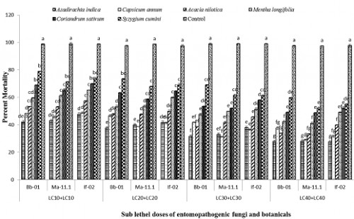 Percent emergence of <em>C. pipiens</em> (Field trial) after application of binary mixtures of fungi and botanicals. Means with different letters in each day are statistically different among treatments and control at <em>P</em><0.05.