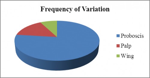 Pie chart showing Frequency of variation