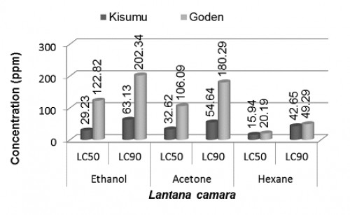 Lethal concentrations (LC<sub>50</sub> and LC<sub>90</sub>) of acetone, ethanol and hexane extracts of four plants against both strains of <em>Anopheles gambiae</em> larvae