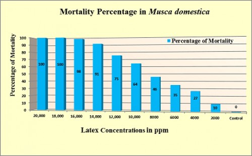 Percentage mortality in <em>Musca domestica </em>larvae treated by the latex of<em> Excoecaria agallocha</em>