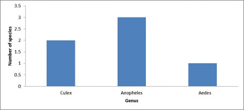 Genus wise fauna of mosquito in Babel Khel Khyber Pakhtunkhwa, Pakistan