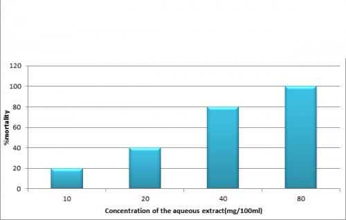 Graph representing the % mortality in different concentration of the aqueous extaract of Lcamara