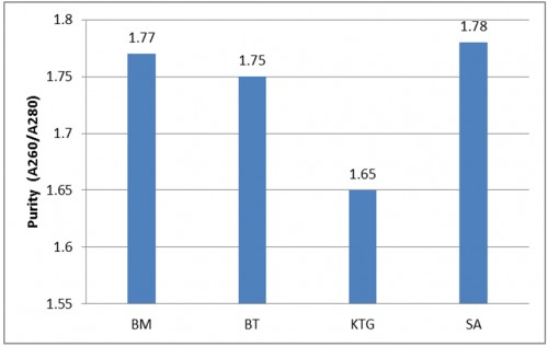 The purity of the DNA extracted using mosquito thorax tissue (BM = Bolaang Mongondowm; BT = Bitung; KTG = Kotamobagu and SA = Sanger)