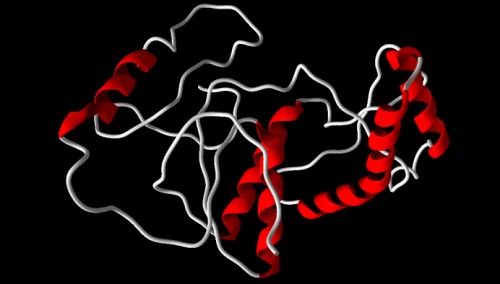 Modeled structure of back bone visualization of b) CHIK protein by using I-TASSER.