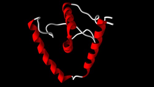 Modeled structure of back bone visualization of; c) WSP-A  protein by using I-TASSER.