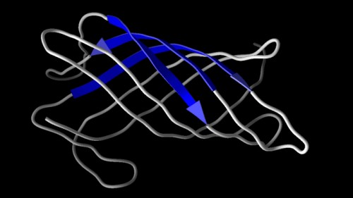Modeled structure of back bone visualization of d) WSP-B protein by using I-TASSER.