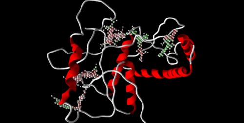 Active site showing as in ball and stick model in modeled structure as shown in backbone visualization of b)CHIK by using q site finder.