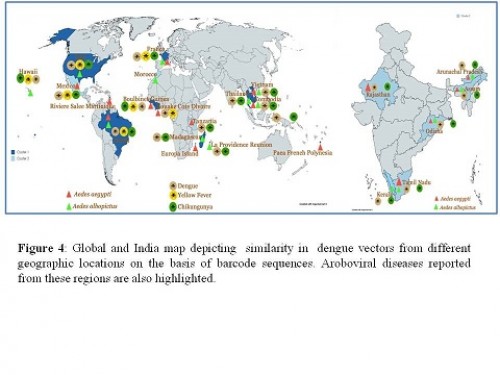 Represents Global and India map depicting similarity in dengue vectors from different geographic locations on the basis of barcode sequences. Aroboviral diseases reported from these regions are also highlighted.