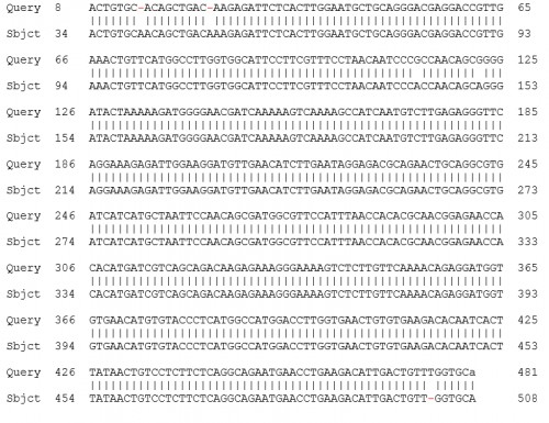 Identities between DEN-2 from Sabya and DEN-2 of India(gb|JN935383.1) Dengue virus strain VCRC/DENV2/03/10 polyprotein gene, partial cds Length=508, Score = 848 bits (459), Expect = 0.0, Identities = 471/476 (99%), Gaps = 3/476 (1%), Strand=Plus/Plus