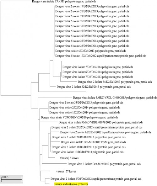 DEN-2 serotype similarity tree.
