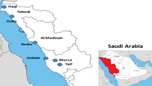 The study area and localities in the western part of Saudi Arabia