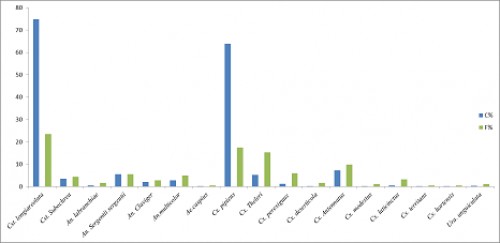 Relative Abundances and Occurrence Frequencies applied to the species of Culicidae in deposits at the Region of TÃ©bessa.