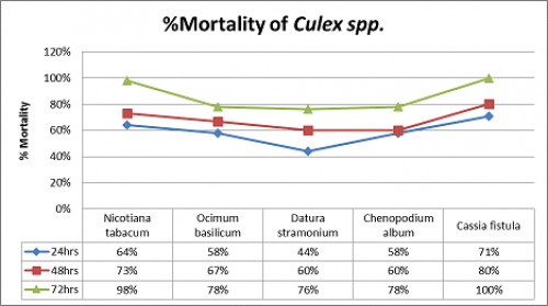 % Mlortality of 3<sup>rd</sup> instar larvae of <em>Culex spp</em> at different time intervals