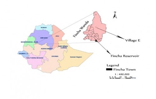 Location of Village E and Fincha Reservoir