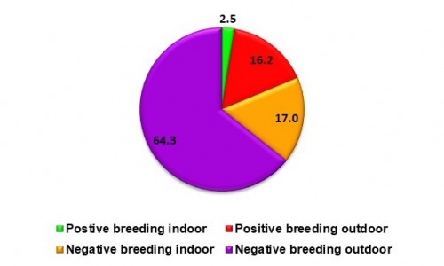 Per cent distribution of breeding in observed water containers, with distinction between indoors and outdoors (total positive = 18.7%). Values correspond to the total number of containers with larval/pupal presence in the 69 households