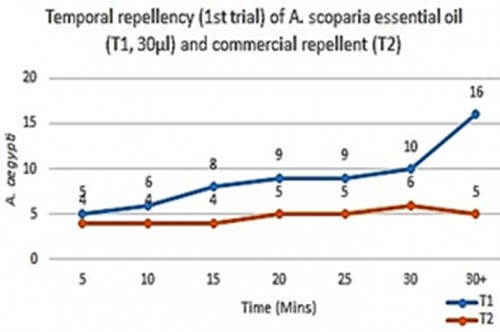 First trial of comparison between <em>A. scoparia </em>EO (blue) and commercial repellent (red)
