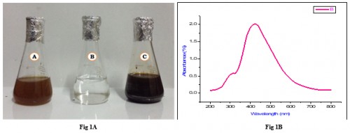 a, b, c: Chromatic variations of the seed extract of <em>Syzygium cumini </em>(<em>Eugenia jambolana</em>) before and after the process of reduction of Ag+ to Ag nanoparticles (1B) UV-visualization of the absorption spectra of silver nanoparticles synthesized using <em>S cumini </em>seeds