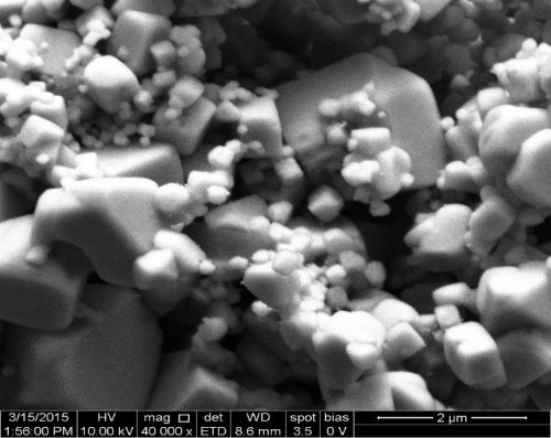 Scanning electron microscopy (SEM) of green-synthesized silver nanoparticles obtained by reduction of AgNO<sub>3</sub> with the seed extract of <em>Syzygium cumini</em>