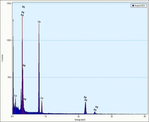 Energy dispersive X-ray (EDX) profile of silver nanoparticles synthesized using the seed extract of <em>Syzygium cumini</em>