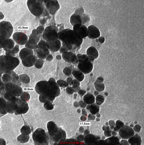 Transmission electron micrograph (TEM) of green-synthesized silver nanoparticles obtained by reduction of AgNO<sub>3</sub> with the seed extract of <em>Syzygium cumi</em>