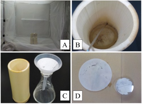 Egg collection and counting. A: Cage with bamboo cylinders. B: Scraping eggs off with a metal rod. C: Egg collection from the infundibulum. D: (Left) Collected sample placed for drying before transferring it to a disposable petri dish. (Right) Collected dried eggs on a petri dish for counting.