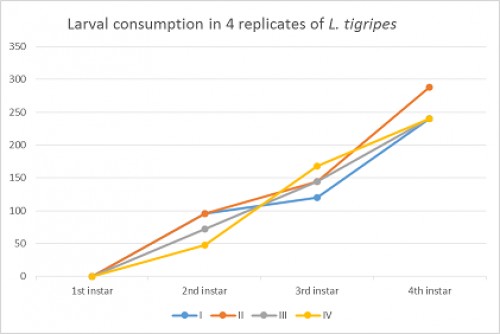 The efficacy of <em>Lutzia tigripes </em>base on data of table 1