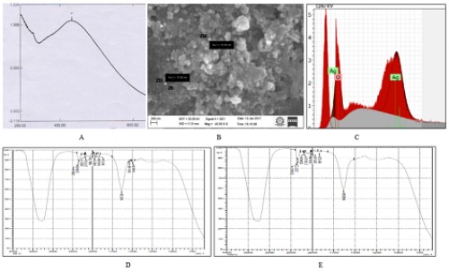 Observations of synthesised nanoparticle (A – UV light absorbance; B – Scanning electron micrograph; C – XRD analysis; D&E – FTIR peaks)