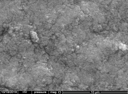 Analysis of the scanning electron microscopy device for the silver particles prepared from the <em>A. marina</em> extract.