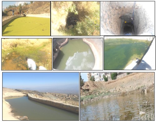 Collecting immature stages of mosquito from the selected sites during 2015-2016 in Sana'a, Yemen.