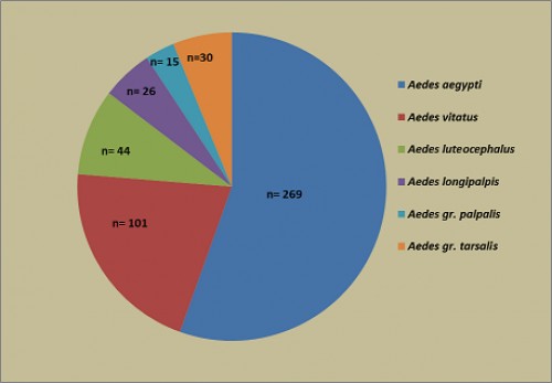 The numbers of adult <em>Aedes</em> species collected on human bait in study area from January to December 2018