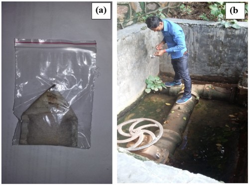<em>Ae. Aegypti</em> control with infusion bag formulation of <em>Chilodonella uncinata</em> under field condition. (a) Infusion bag (in sealed pouch) containing 20.0 g formulation (b) Cemented tank (at pump house located in a posh area in Delhi) maintained by Delhi Jal Board, a permanent mosquito breeding source of created by leaking tap of the said pipe line.