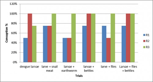 Consumption of dengue larvae by Common Skittering Frog (<em>Euphlyctis cyanophlyctis</em>)<em> </em>in various trials