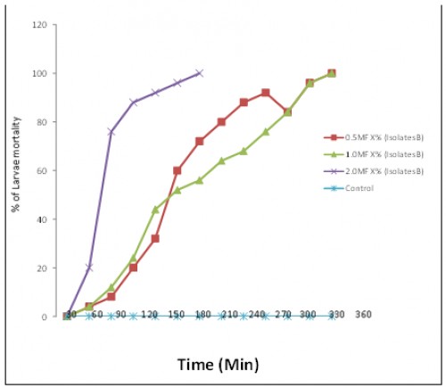Larvicidal activity of Bacillus thurinqiensison mosquito’s larvae at 0.5, 1.0 and 2.0 Mc Farlane (Isolate B)