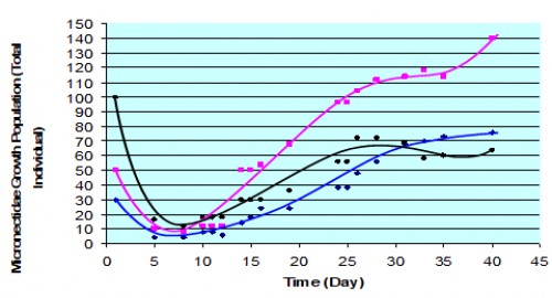 The growth pattern of 30, 50 and 100-Micronectidae under field environment