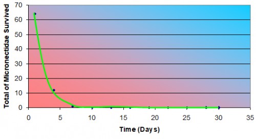 The growth pattern of 64-Micronectidae in lab environment