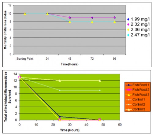 Number of <em>Micronecta</em> sp. survived under stress condition (a: Low DO; b: High BOD)