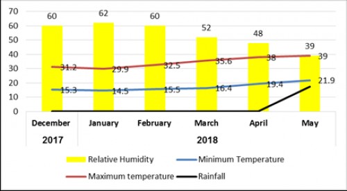 Monthly relationship between temperature, R.H. and Rainfall<strong> </strong>(Source: Asmara International airport and Zonal administration office) (Y axis = %; X axis = month)