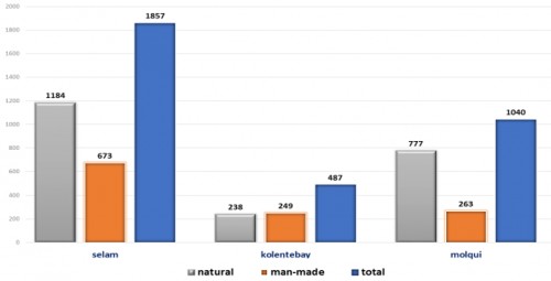 Larval distribution by type of habitats during the study period at the three study sites
