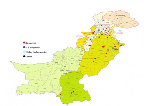 Map showing the distribution of the most prevalent <em>Aedes</em> species currently and diachronically (1934-2019) in Pakistan